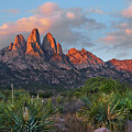 Organ Moutains, Aguirre Spring 